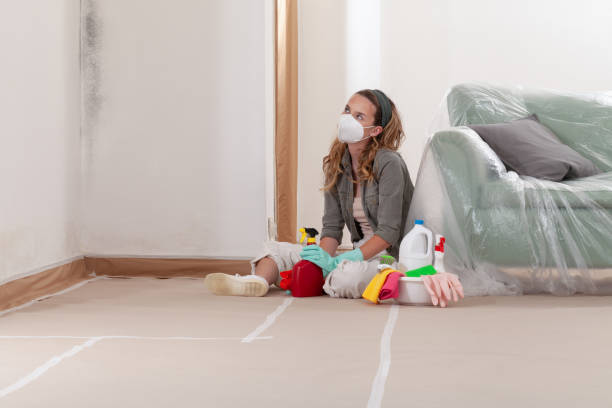 Reliable Mold Remediation contractor in Rogers, TX by Car Mold Remediation